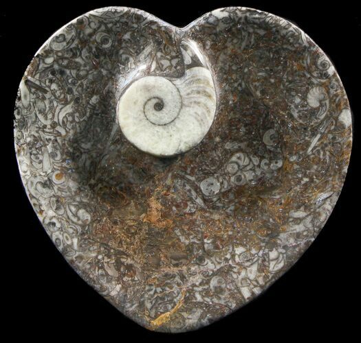 Heart Shaped Fossil Goniatite Dish #39360